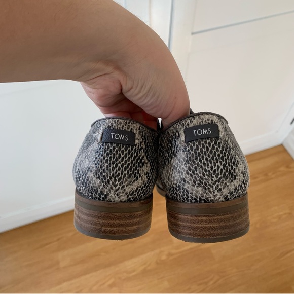 Toms Snake Print Shaye Ankle Booties - Picture 6 of 8